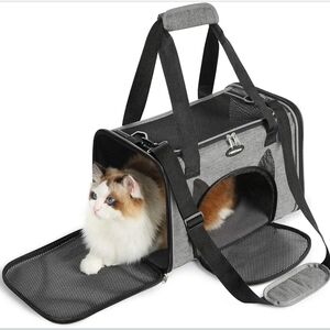 Pet Carrier For Cat Or Small Dog